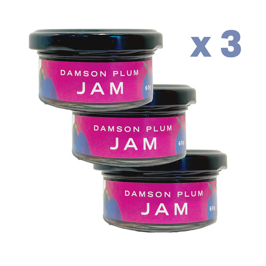 Damson Jam 60g x 3