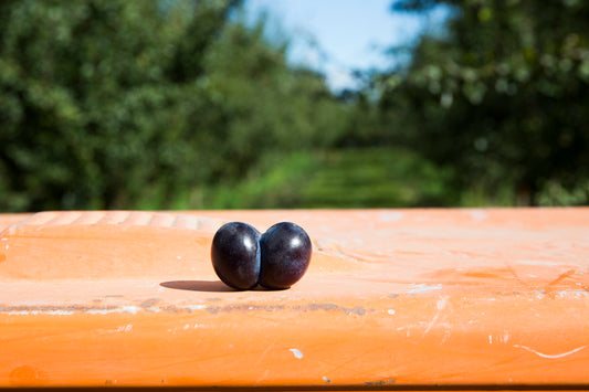 What is a Damson?